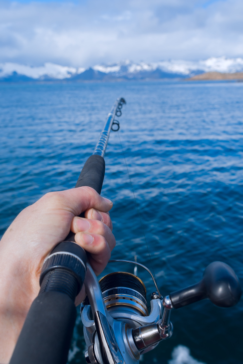 Choosing the Right Saltwater Fishing Bait for Offshore Fishing Trips –  Fishing for Muscular Dystrophy